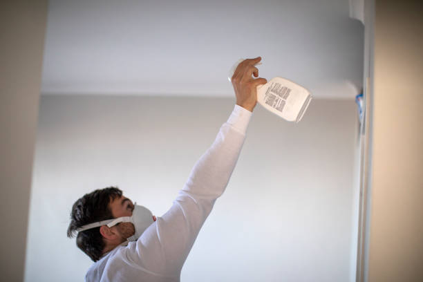 Best Kitchen Mold Remediation in Mullins, SC