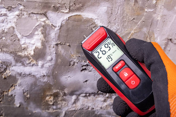 Best Residential Mold Remediation in Mullins, SC